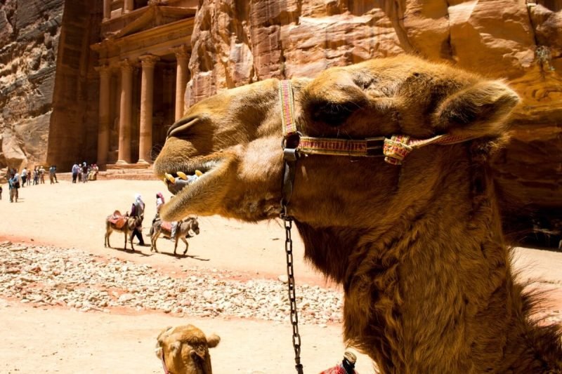 Things to do in Jordan