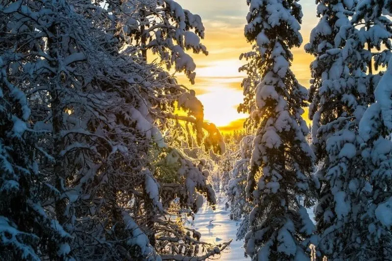 Lapland, the Narnia of Europe