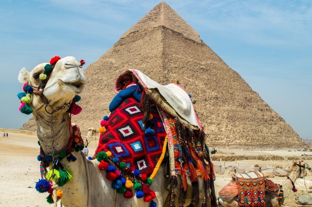 Egypt Scams
