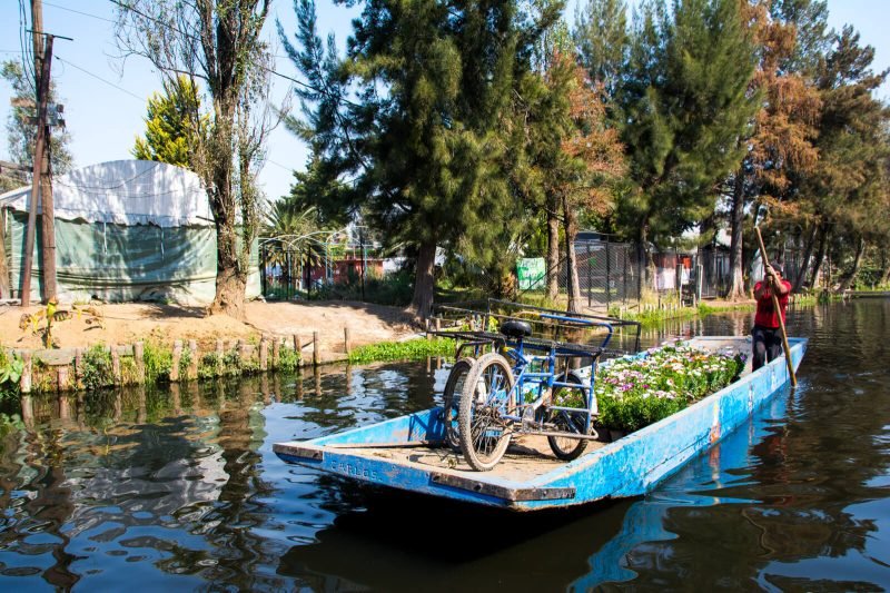 The Xochimilco School Bus