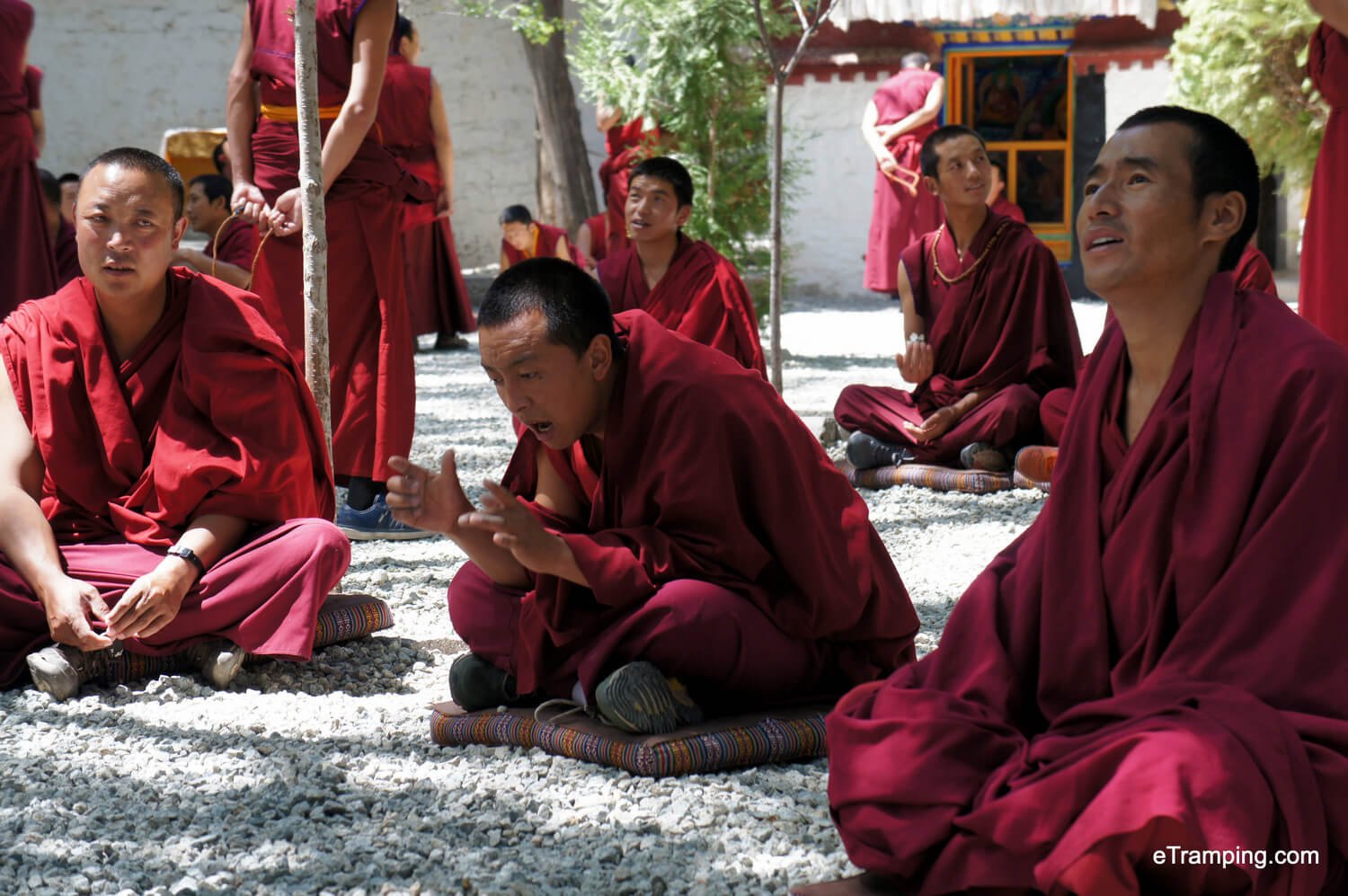 Tibetan monks
