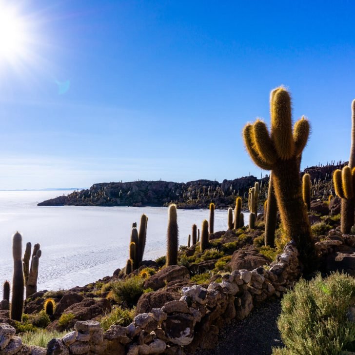 Hiking to the Top of the Cactus Island in the Salar de Uyuni