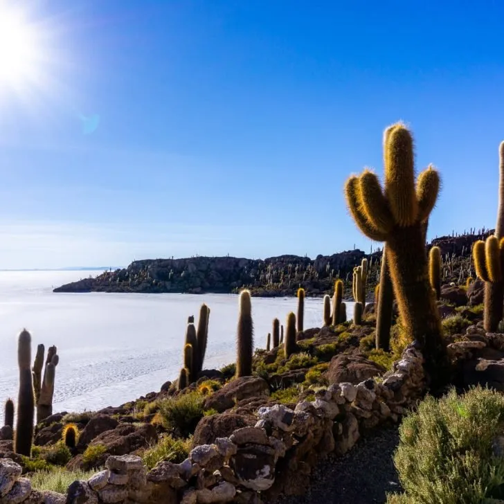 Hiking to the Top of the Cactus Island in the Salar de Uyuni