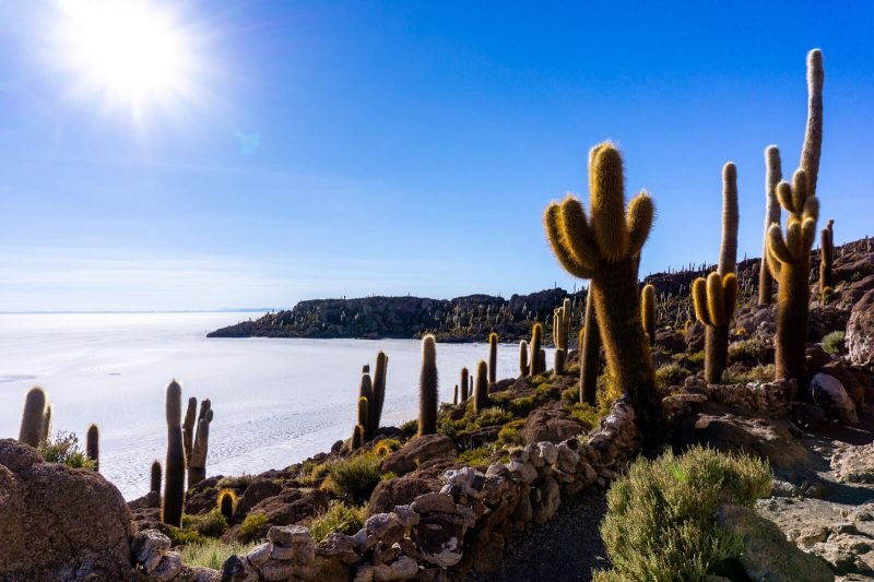 Hiking to the Top of the Cactus Island in the Salar de Uyuni