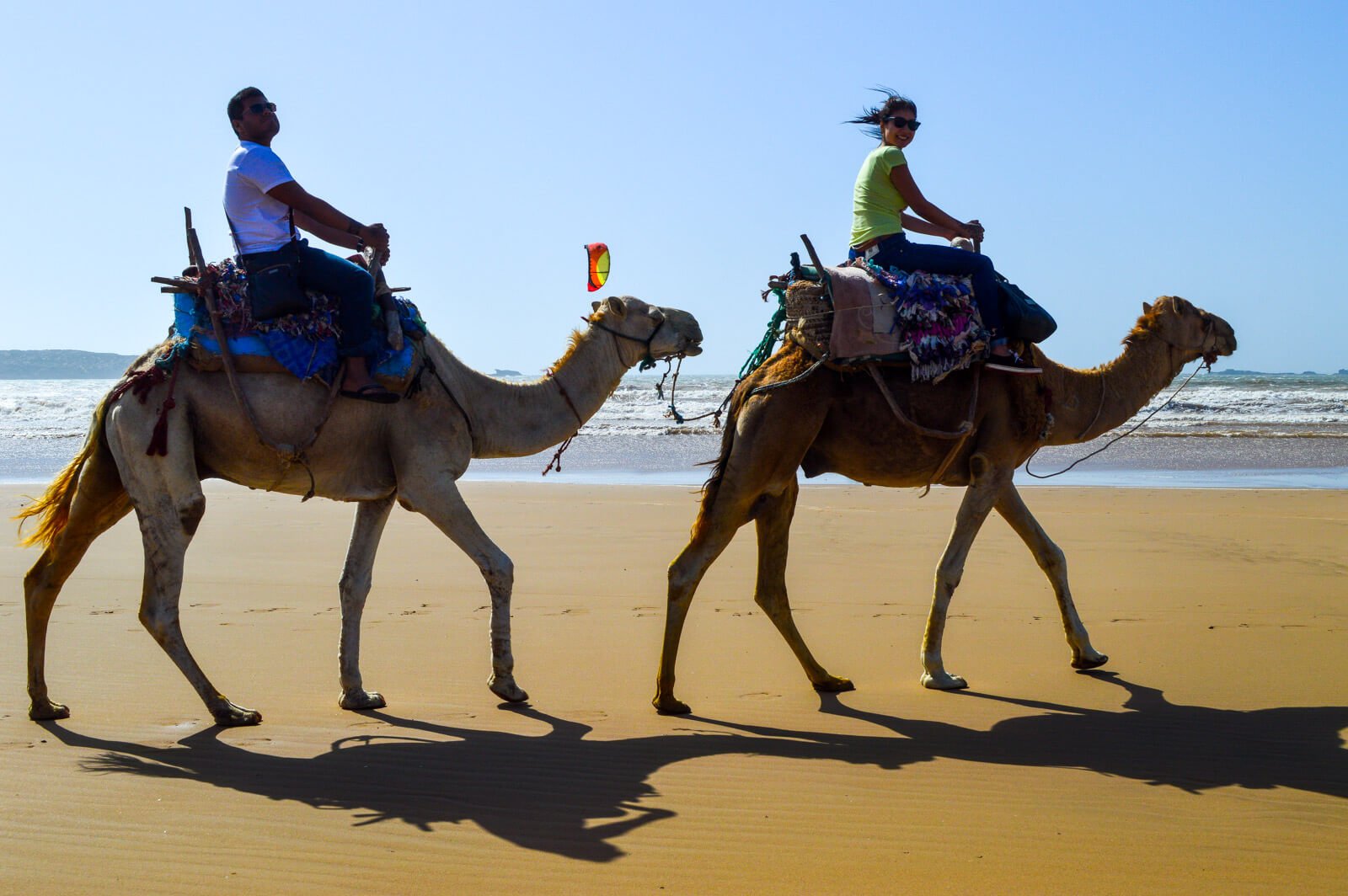 Riding camels at the beaches of Essaouira