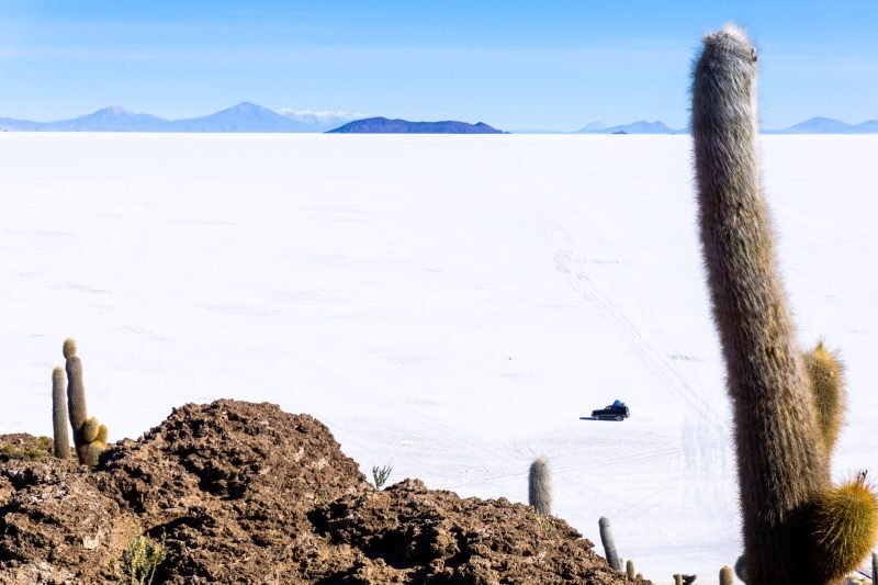 The view from the top of Incahuasi Island at the Salar de Uyuni