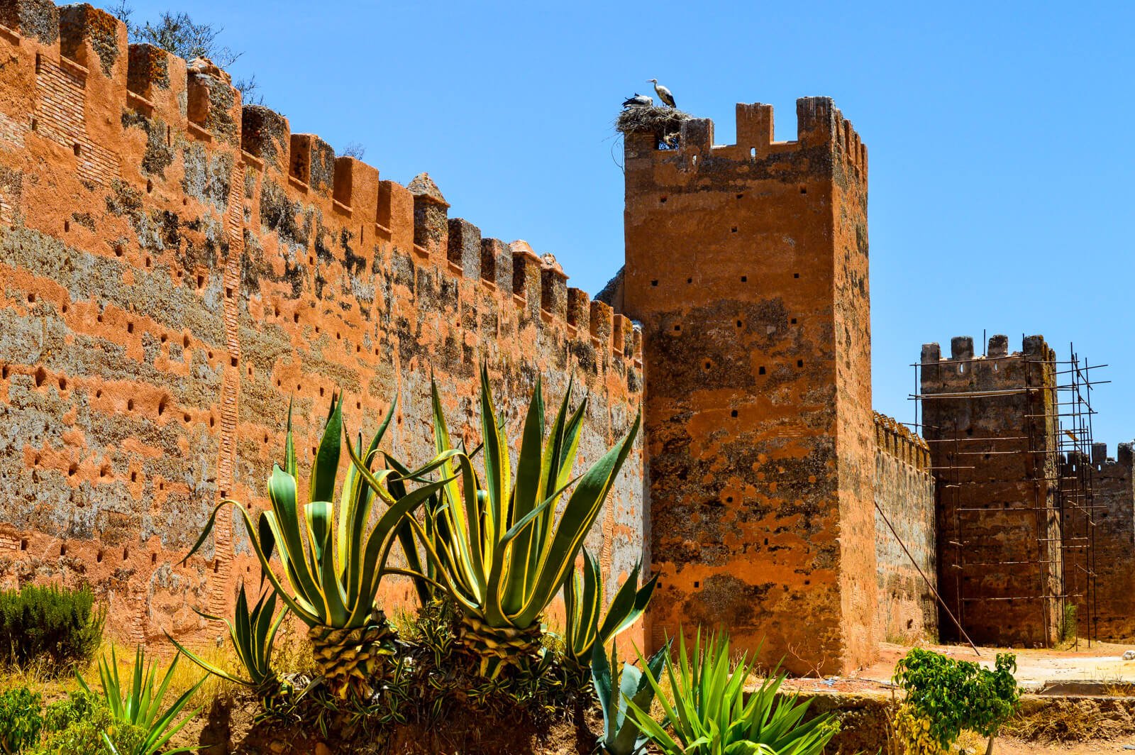 Things to Do and See in Rabat