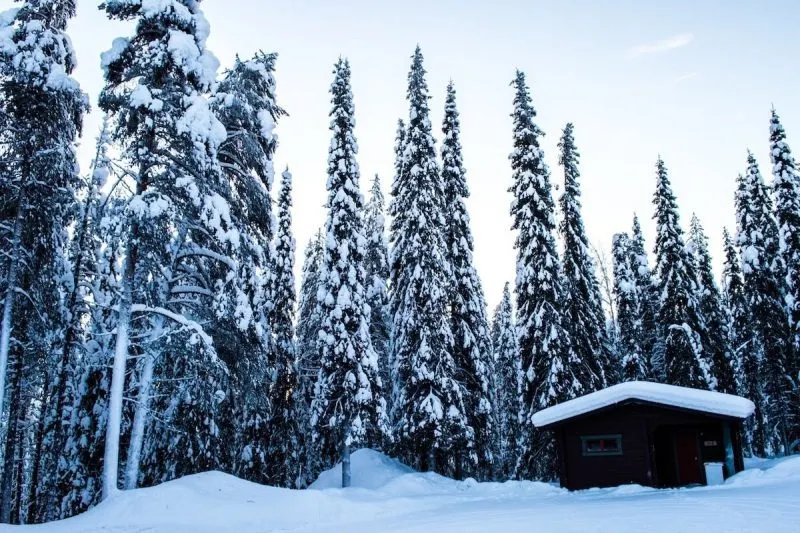 Winter retreat for writers