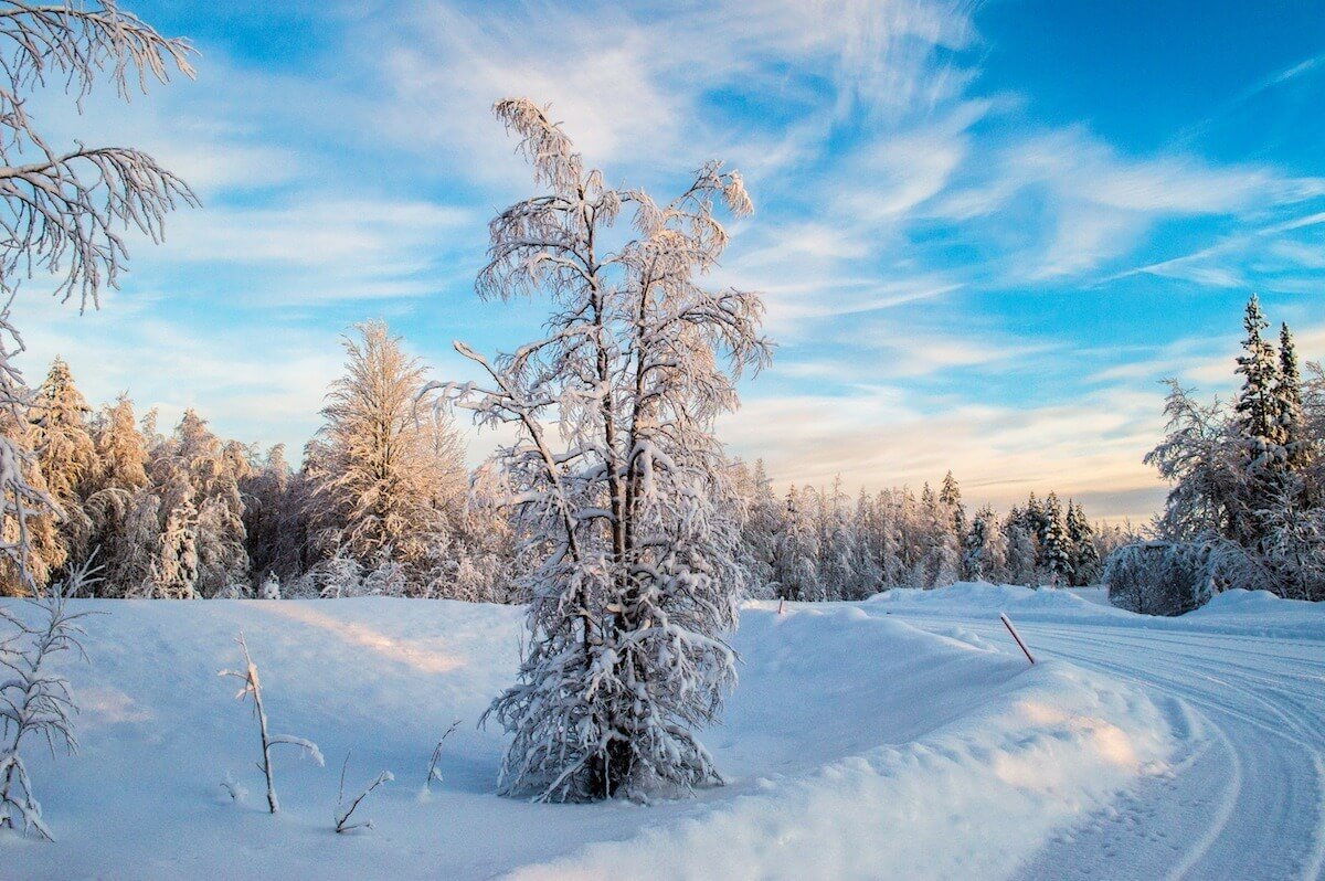 The white fluffiness of the snow in Lapland
