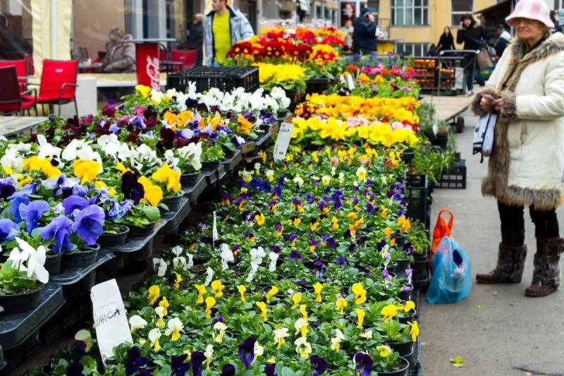 Flower Market at Zagreb, Croatia