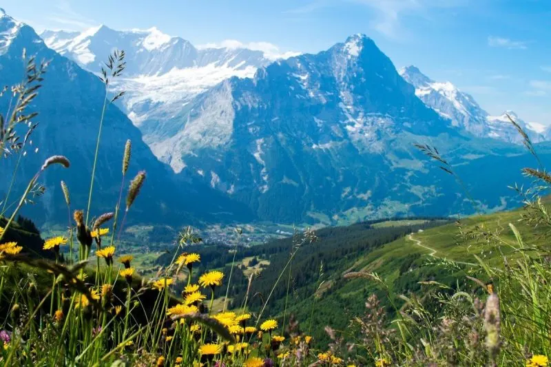 The smell of nature at Grindelwald First