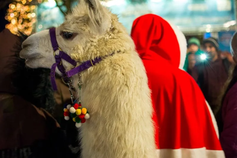 Christmas in Switzerland