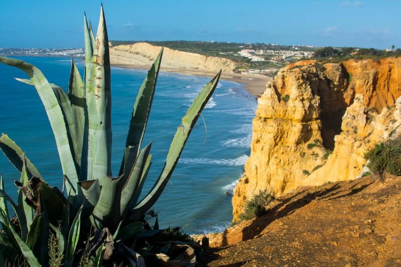 Algarve in the Winter