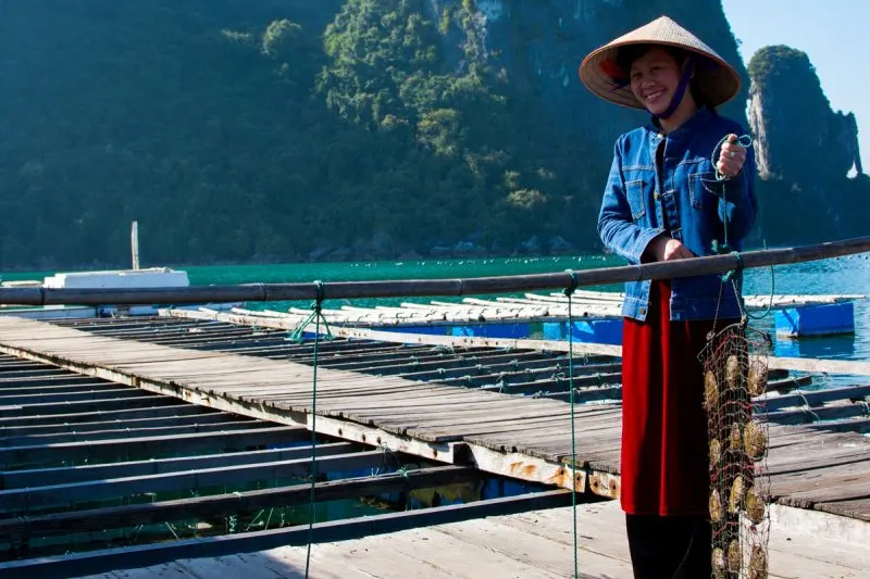 Halong Bay Cruise Prices