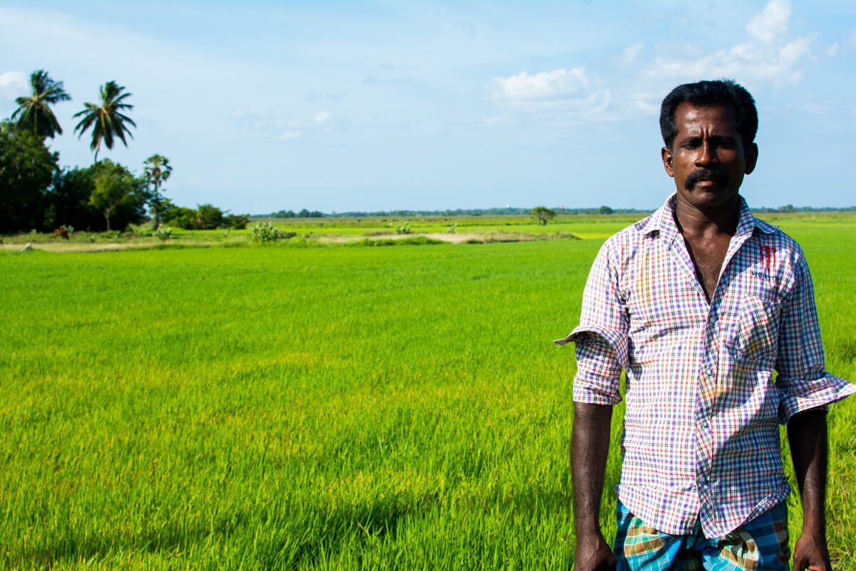 Things to do and see in Sri Lanka