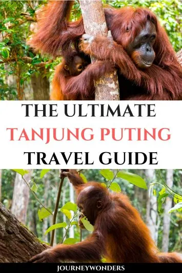The Ultimate Tanjung Puting Travel Guide Borneo Indonesia Asia Travel