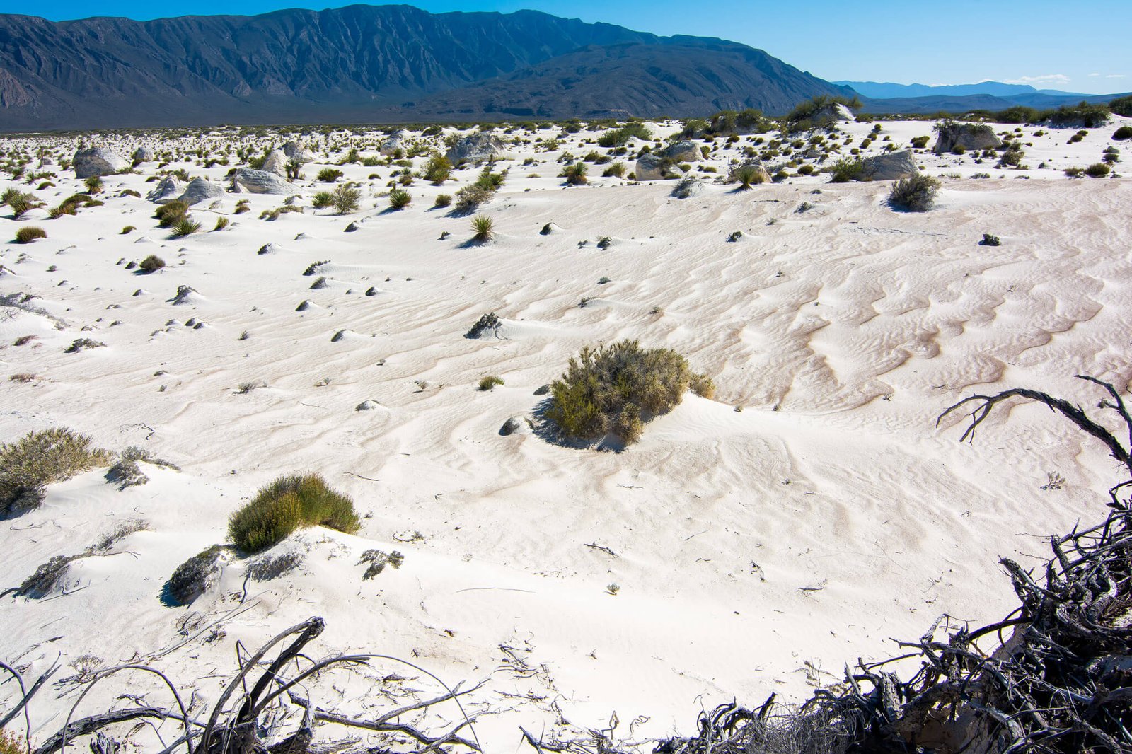 Dunas de Yeso in Cuatro Cienegas