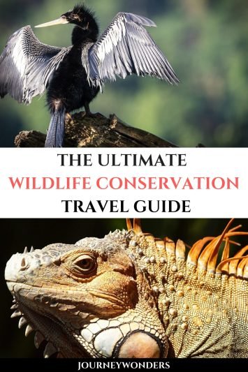 The Ultimate Wildlife Conservation Travel Guide