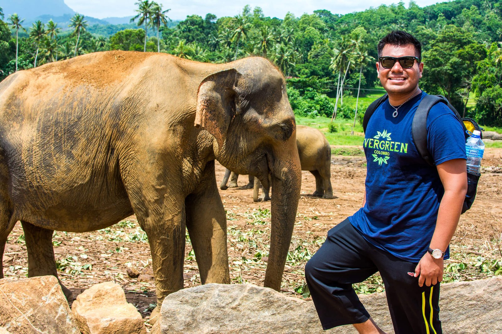 Things to do and see in Sri Lanka
