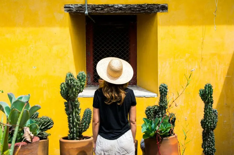 Day Trips from Mexico City