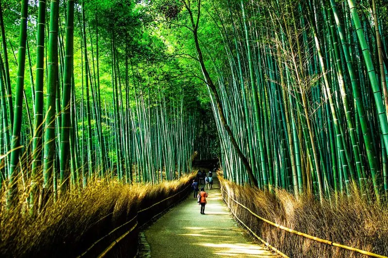 48 Hours in Kyoto Itinerary of Wonders