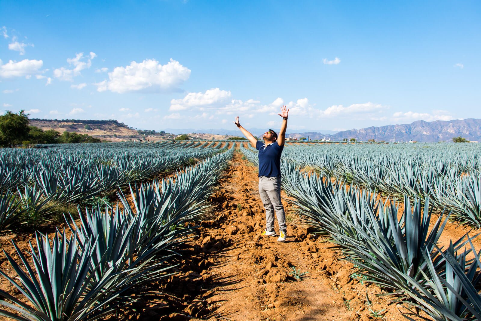 Tequila Day Trip Guadalajara