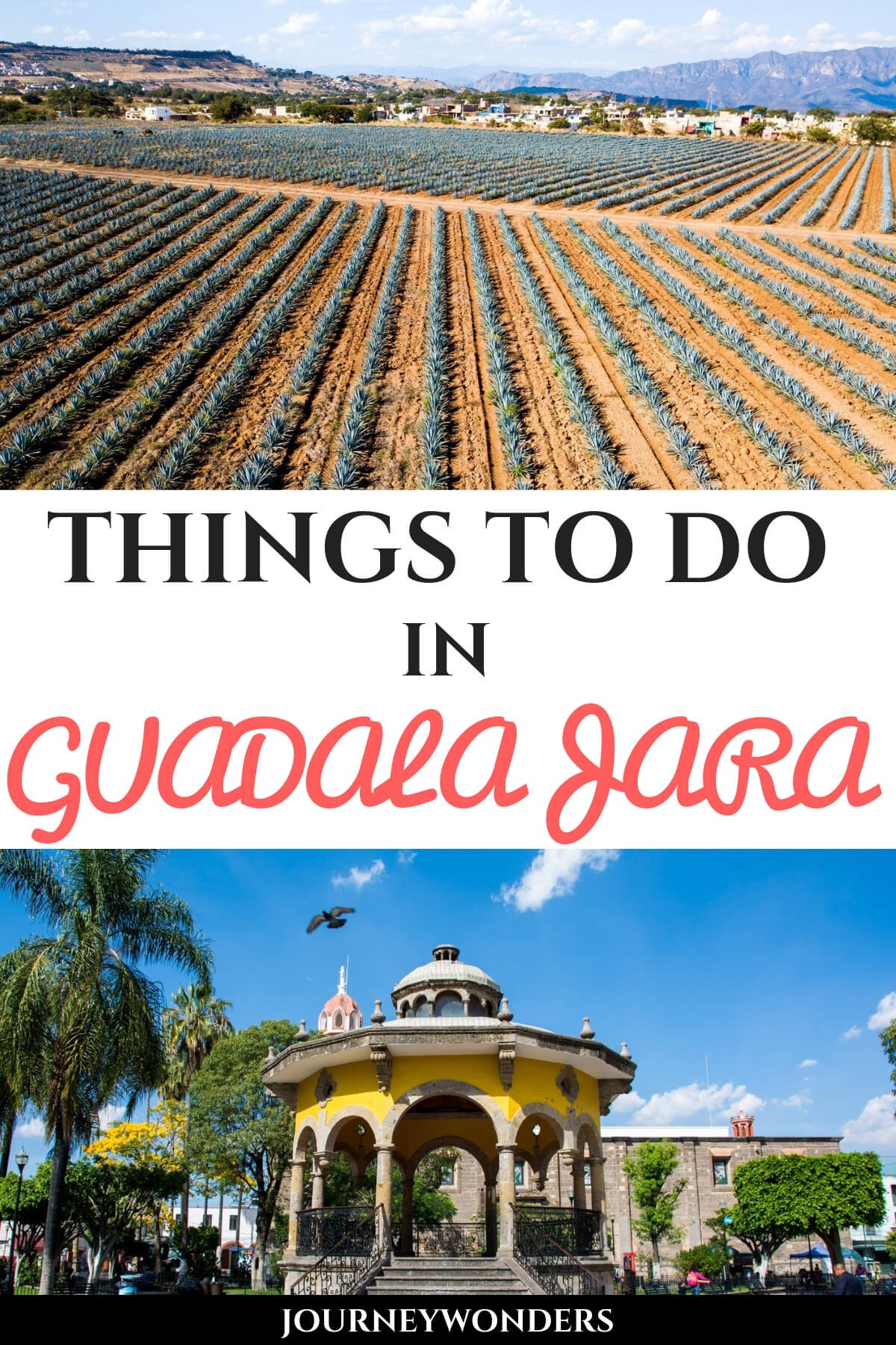 Tequila Day Trip from Guadalajara All You Need to Know