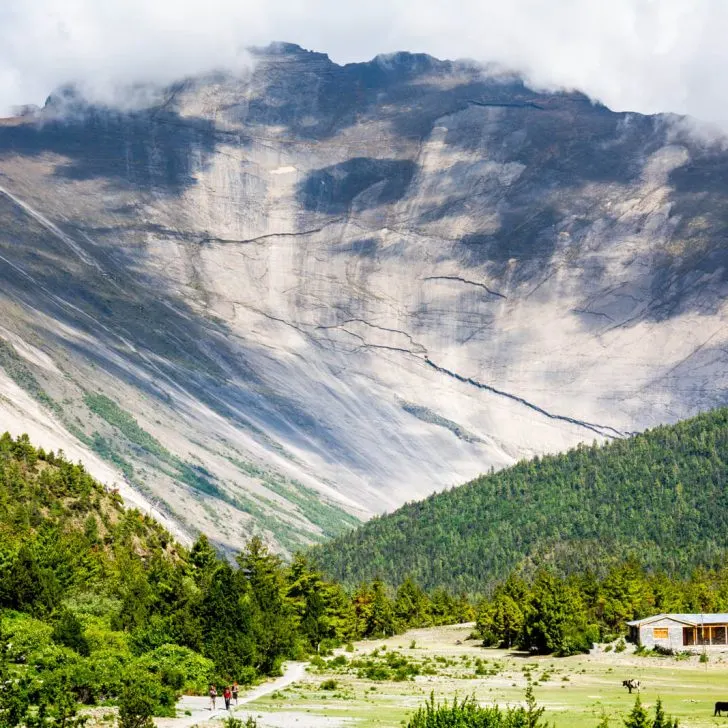 Nature, nature and more nature at the Annapurna Circuit Trek of Nepal