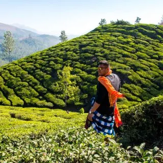 Kochi to Munnar
