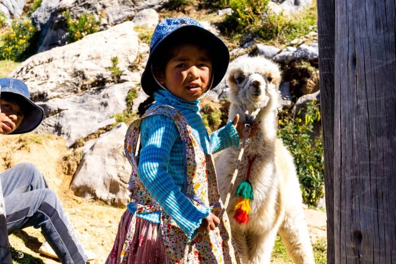 A cute Bolivian girl with her baby llama