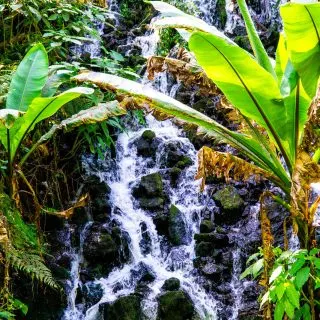 The Uruapan National Park of Wonders