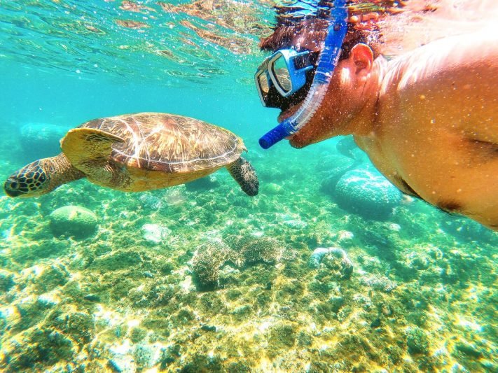 Swimming with Sea Turtles in Apo Island, Philippines