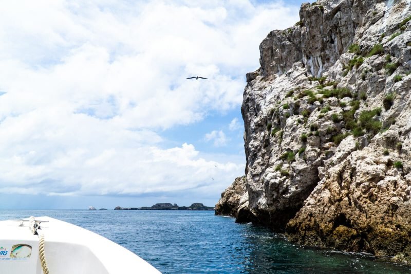 The Best Things to Do and See in Puerto Vallarta