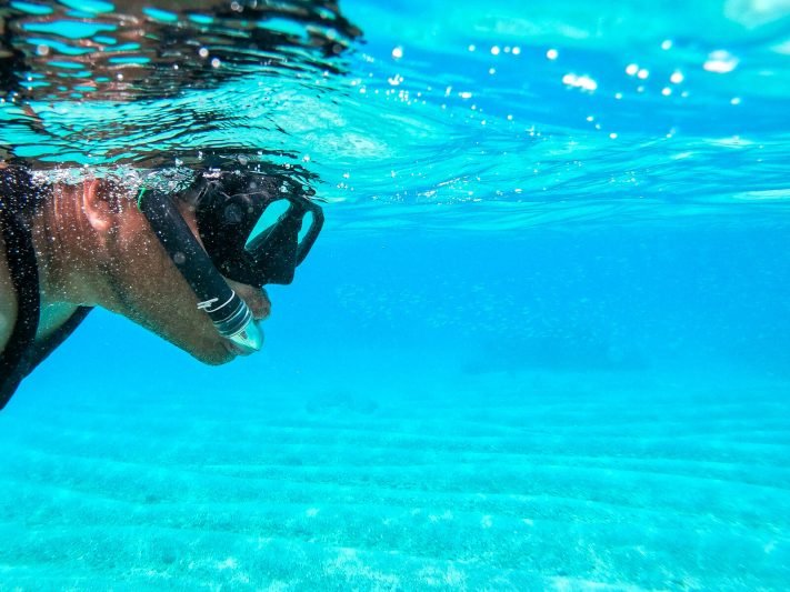The Best Things to Do and See in Puerto Vallarta