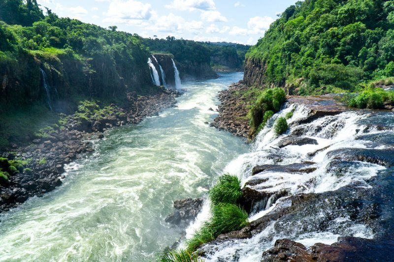 The Amazing Nature at Iguazu Falls