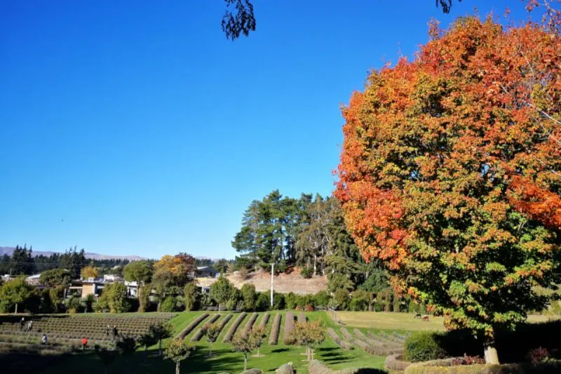 Things to Do and See in Wanaka