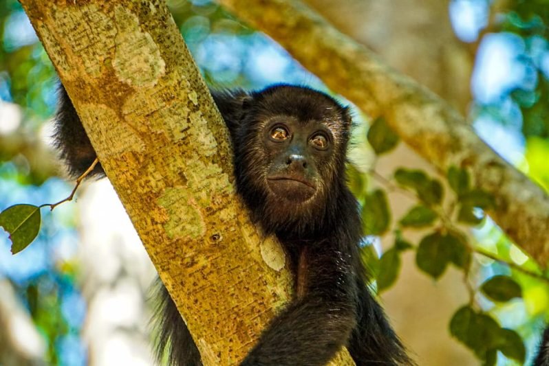 Top Things to Do in Chiapas