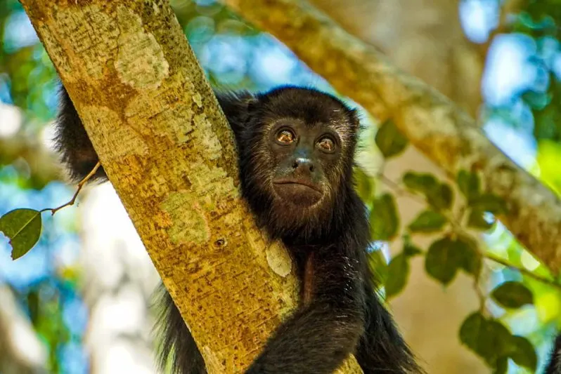 Top Things to Do in Chiapas