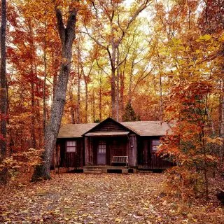 The nature of Pennsylvania