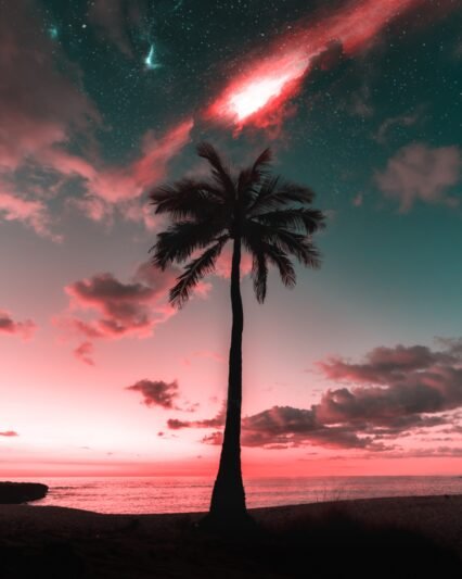 The beauty of Seychelles