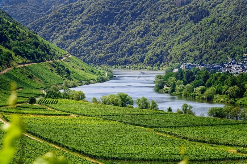 The Moselle River