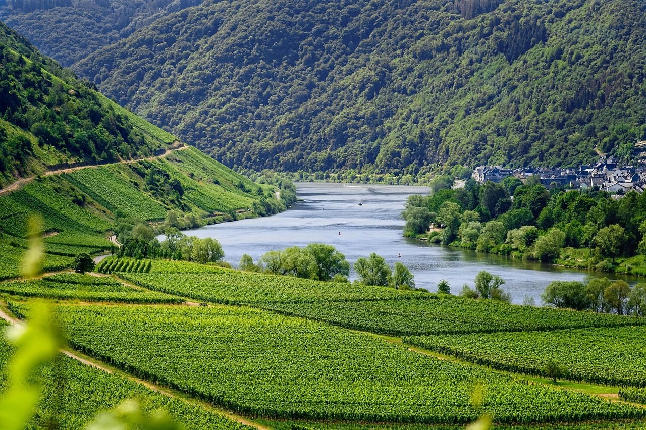The Moselle River