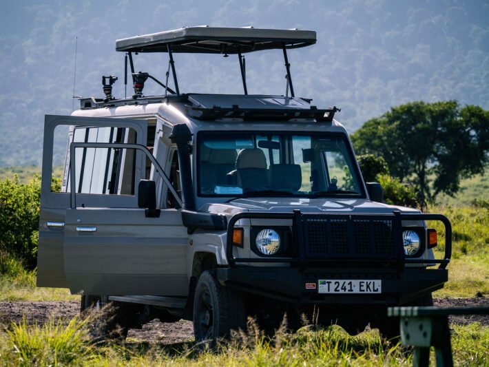 Safari Photography Tips